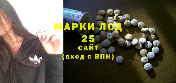 молекула духа Бородино