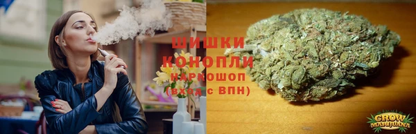 бошки Богданович
