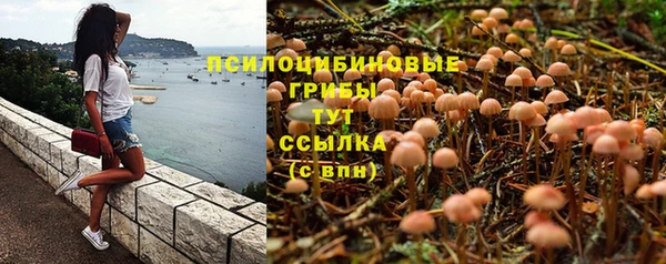 бошки Богданович