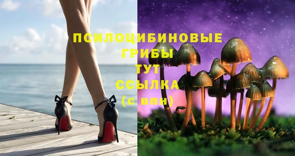 каннабис Богородицк