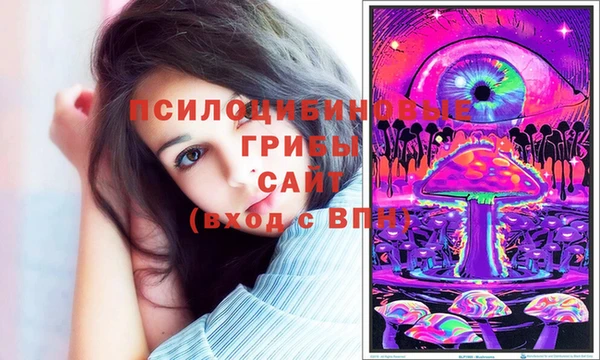 каннабис Богородицк