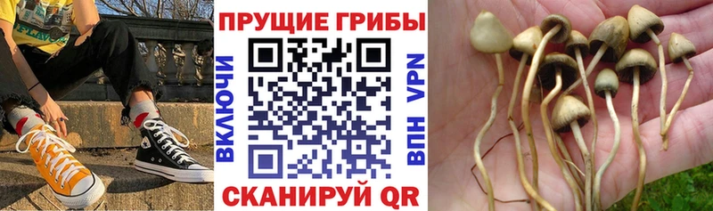 Галлюциногенные грибы ЛСД  Химки 